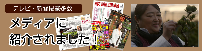 盆栽妙メディア掲載