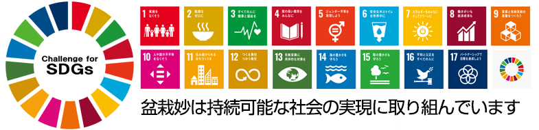 盆栽妙のsdgs